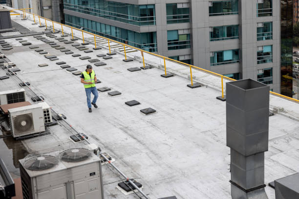 Best Roof Installation  in Morongo Valley, CA