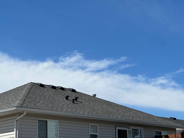 Best Roof Coating and Sealing  in Morongo Valley, CA