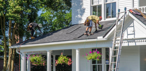 Best Roof Moss and Algae Removal  in Morongo Valley, CA